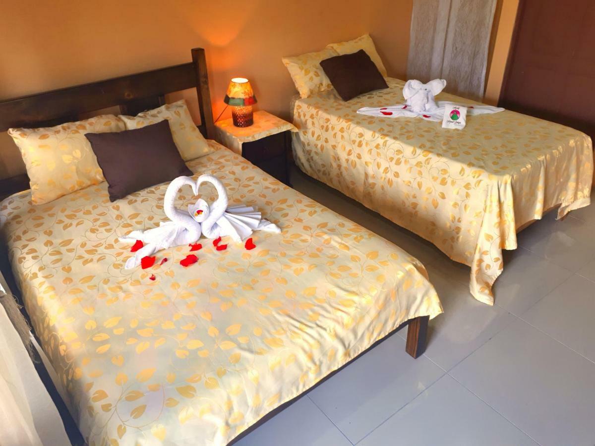 Aunty Arenal Lodge Ла Фортуна Номер фото
