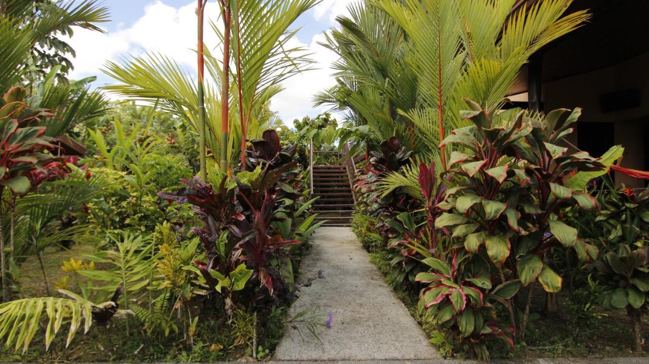 Aunty Arenal Lodge Ла Фортуна Экстерьер фото