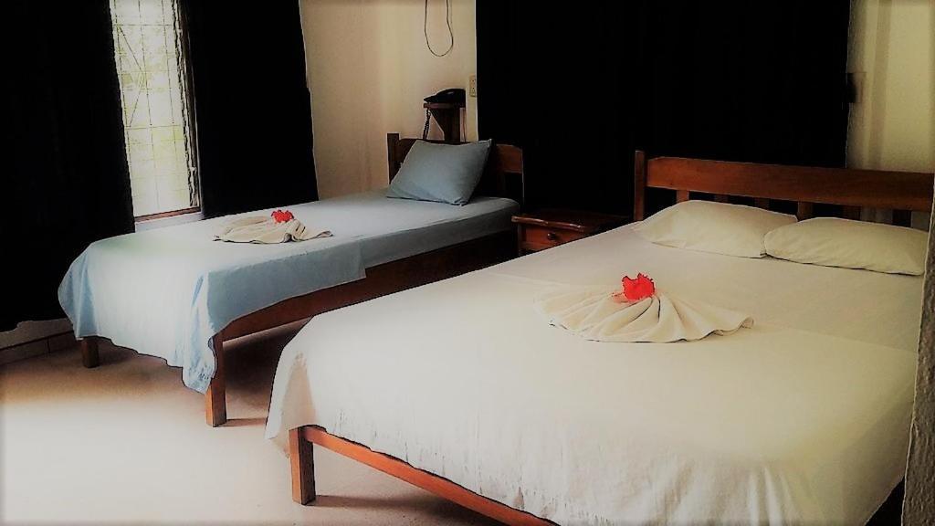 Aunty Arenal Lodge Ла Фортуна Экстерьер фото
